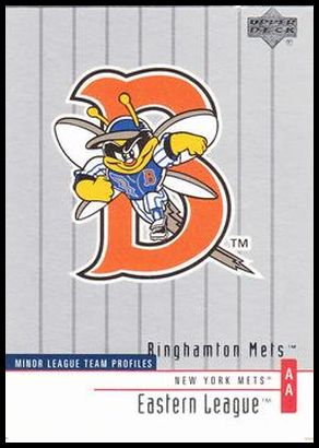 329 Binghamton Mets TM